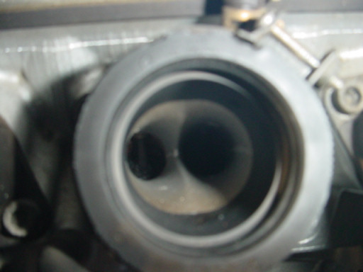 DSC0314002