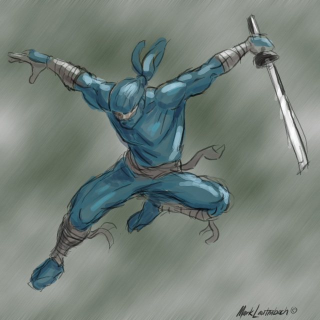 ninja 1.jpg