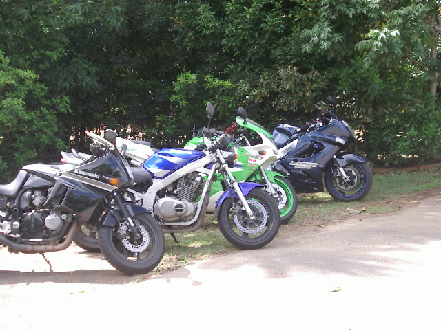 IMGP2381.JPG