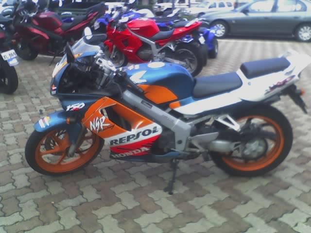 the BEAST.jpg