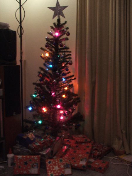 ourchrissytree.jpg
