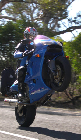 wheelie.jpg