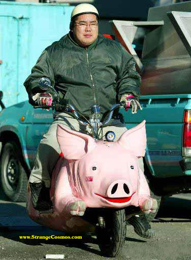hog.jpg