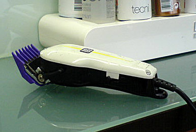 shave2.jpg