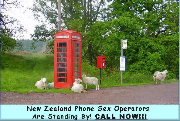 KIWI.jpg