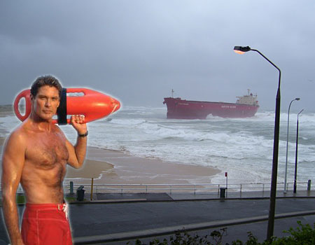 David Hassalhoff.jpg