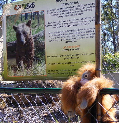 doug n the bear.jpg