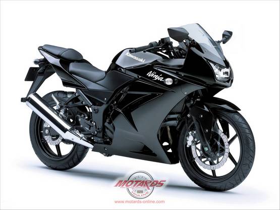 KawasakiNinja250R_03.jpg