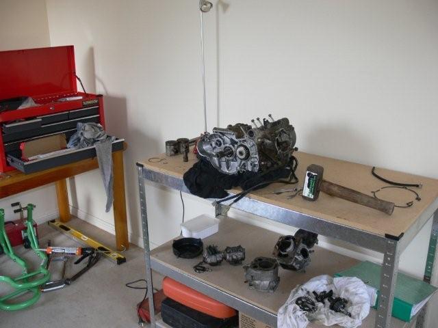 P1050013.jpg