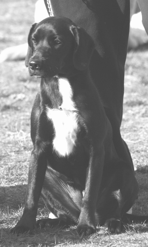 Dakota 2007.JPG