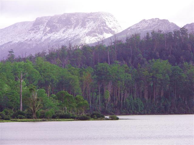 DSC00008_00 (Small).JPG