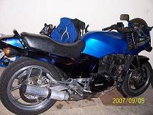 100_1059-1.JPG