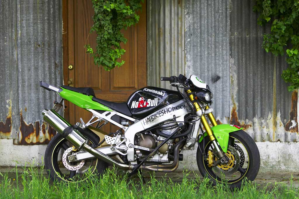 Boxers_Kawa_001.jpg