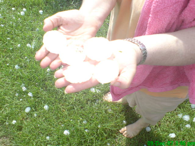 Hail 1.JPG