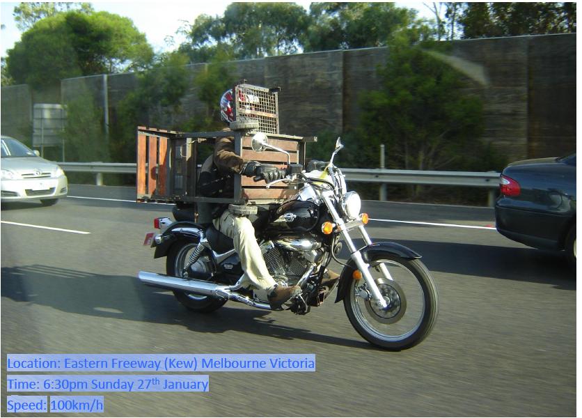 bbqbiker.JPG
