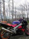 s592459765_455362_7205[1].jpg