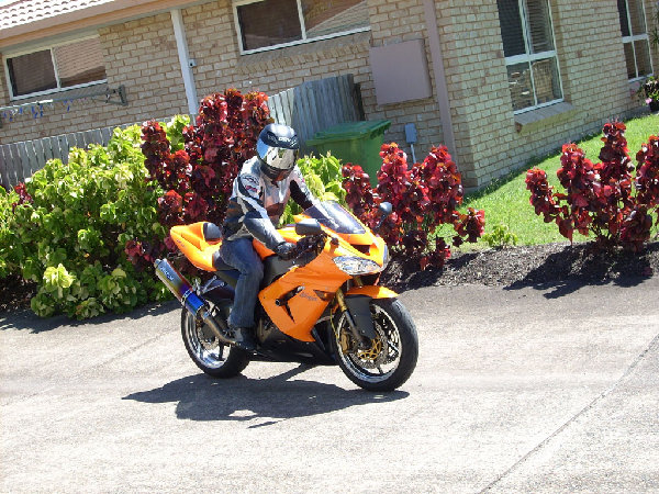 DSCN0208.jpg