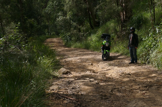 4wdtrack009.jpg