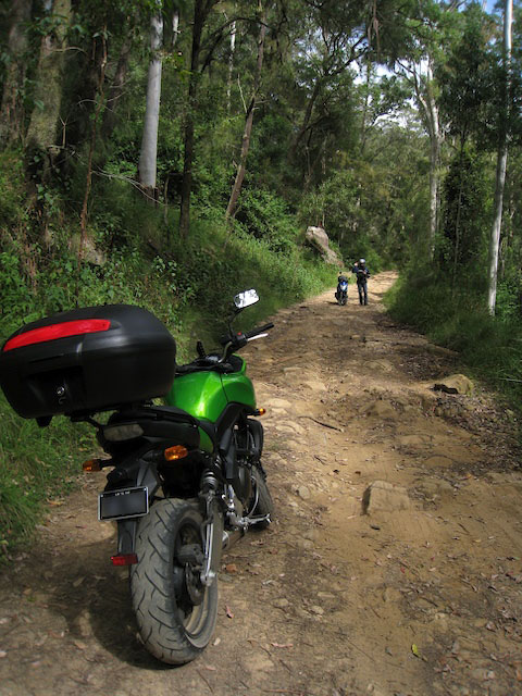 4wdtrack010.jpg