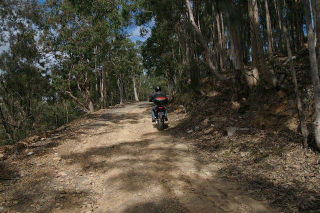 4wdtrack014.jpg