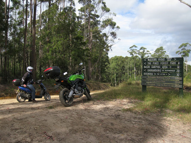 4wdtrack015.jpg