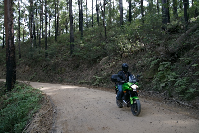 4wdtrack017.jpg