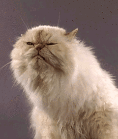 !cid_930.gif