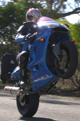 Wheeliegoodtime.jpg
