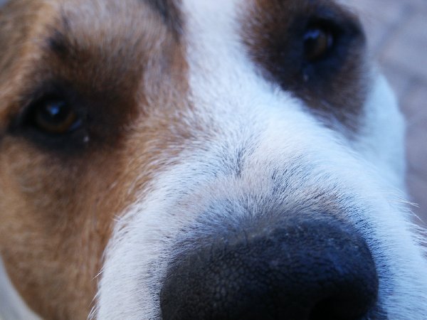 PICT0005r1.JPG