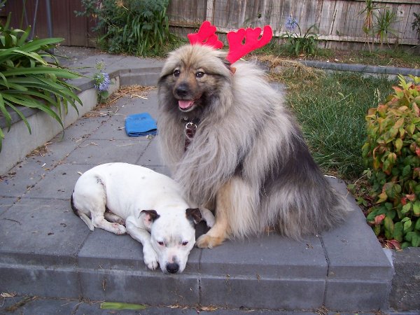 Christmas Kids.jpg