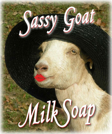 SassyGoatMilkSoap.jpg