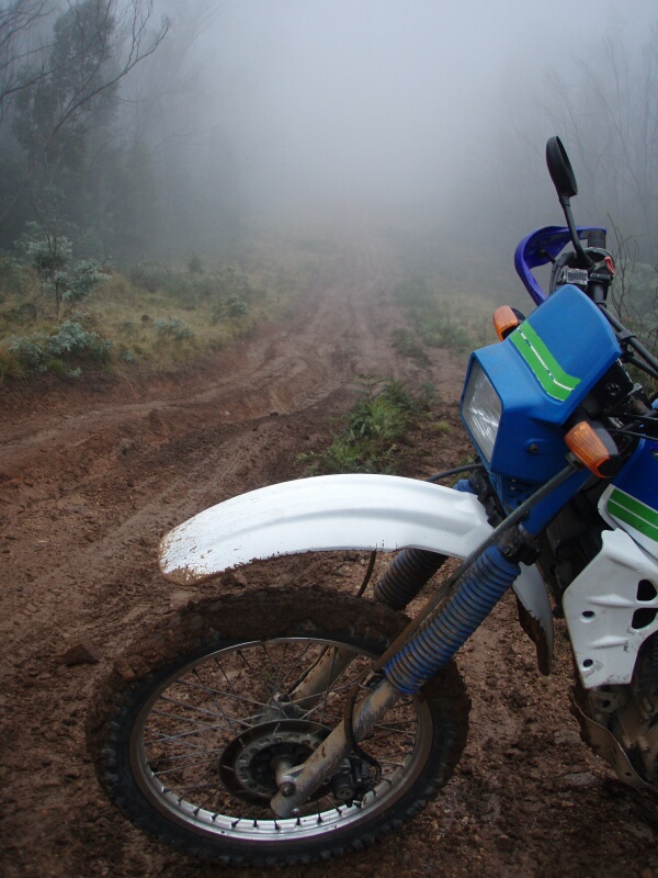 P6201543-2.jpg