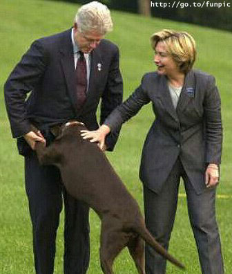 Monica.jpg