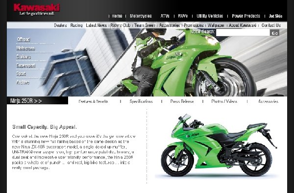 Ninja 250R.JPG