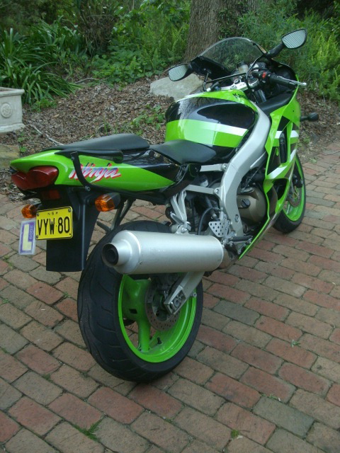 IMGP0126.JPG