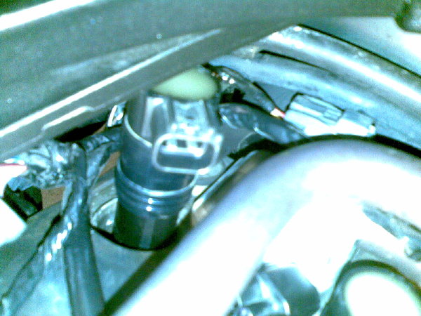 26102008(002).jpg