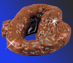 polished-turd.jpg