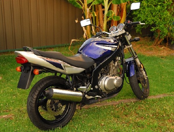 DSC_1162small_cr.jpg