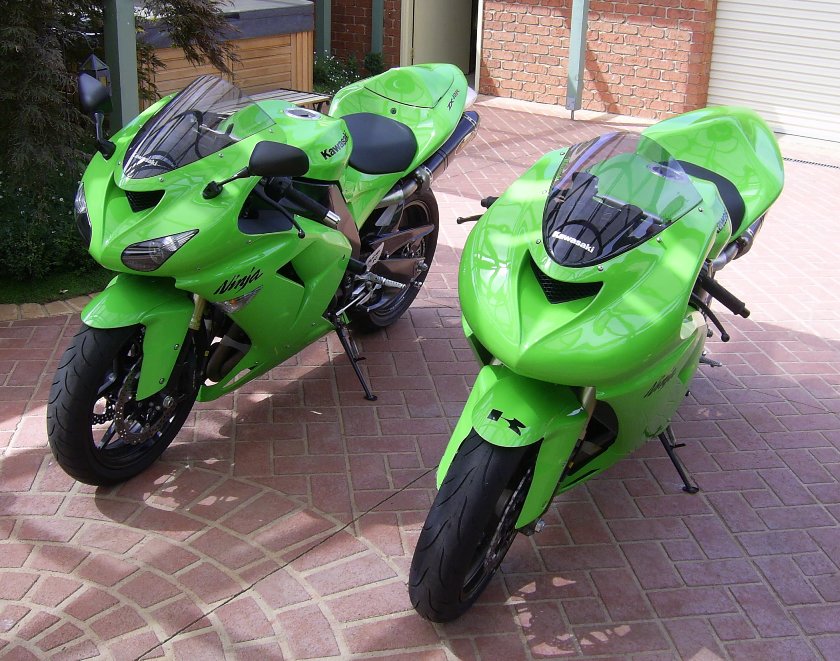 The Twins 1.JPG