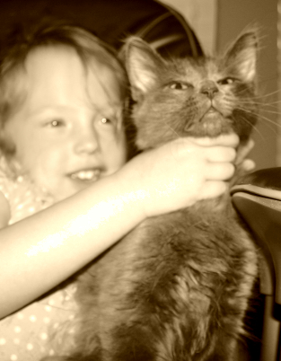 wrongwaytoholdacat.jpg