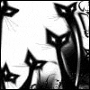 black_avatar06.gif