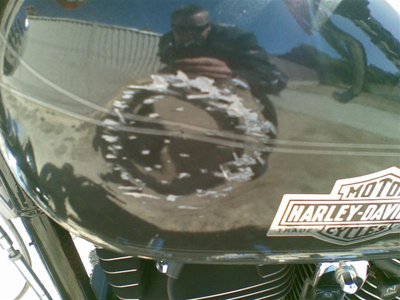 Johns Bike (4) (Medium).jpg