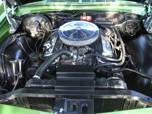 IMGP0990.JPG