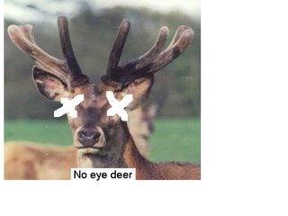 noeyedeer.jpg