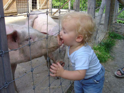 pig-kisser.jpg