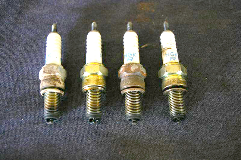 IMGP0215 (Medium).jpg