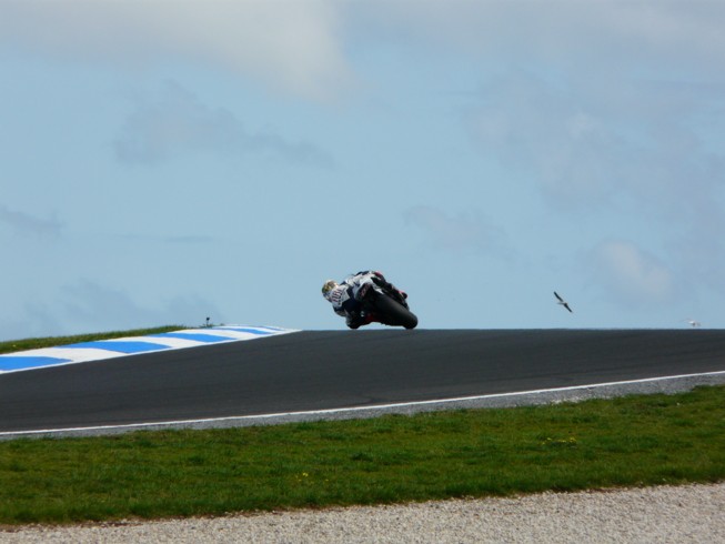 MotoGP 08 jetpilot.jpg