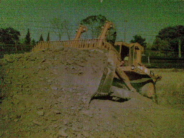 05062009(001).jpg
