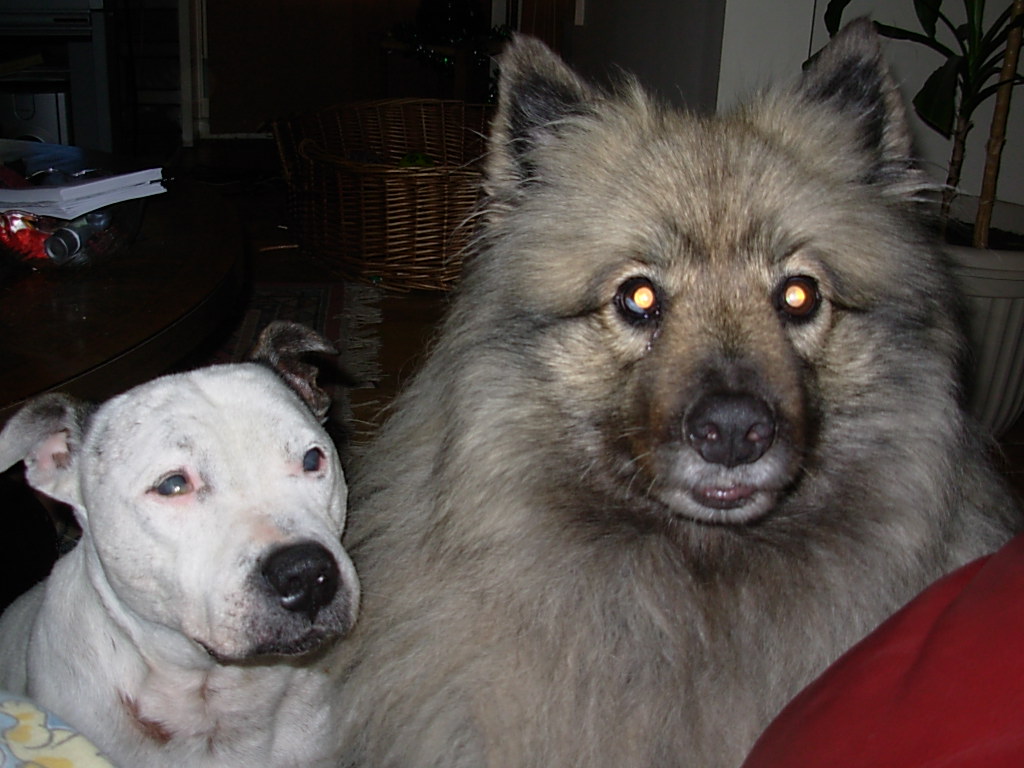 DSCN0075.JPG