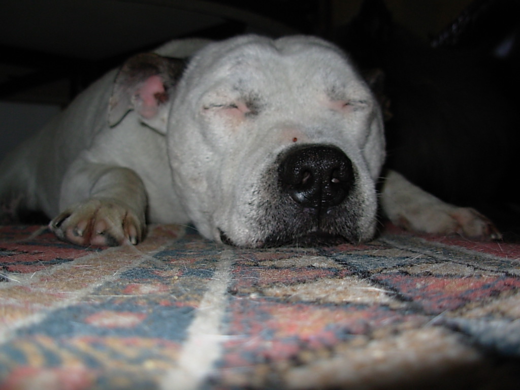 DSCN0033.JPG